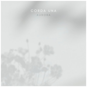 打光屁股从白到红高清视频
